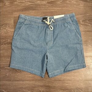 American Eagle Outfitters Blue Hybrid Shorts with Relaxed Fit